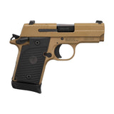 P938 EMPEROR SCORPION